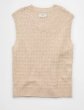 画像1: アメリカンイーグル　AE Sweater Vest (1)